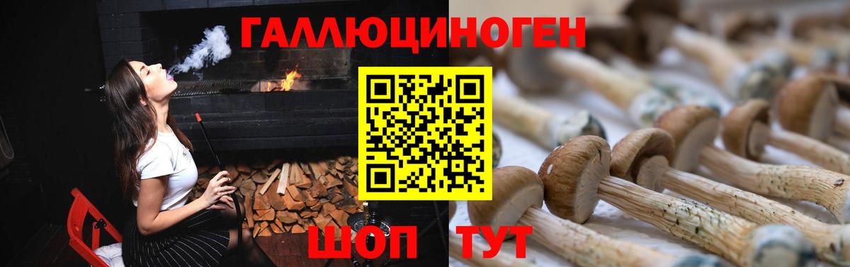 Галлюциногенные грибы прущие грибы Владимир